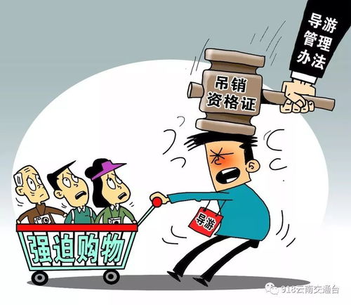 數字文創服務新規今起實施，車主必讀 五大要點全解析